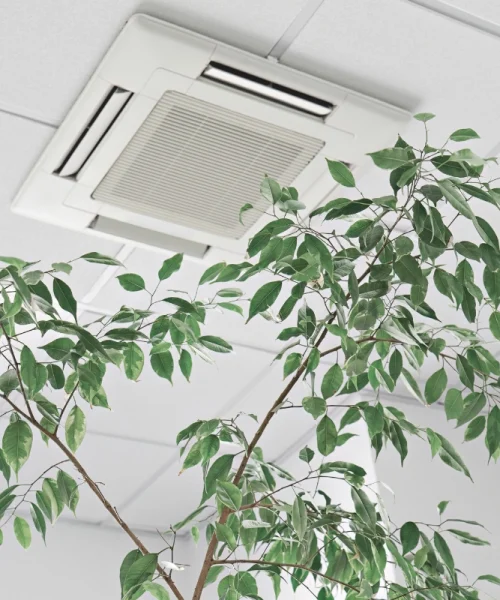 Confort et durabilité